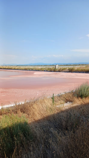 Saline di Cervia con il famoso sale rosa