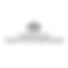 Australian Trade and Investment Commission (Austrade)
