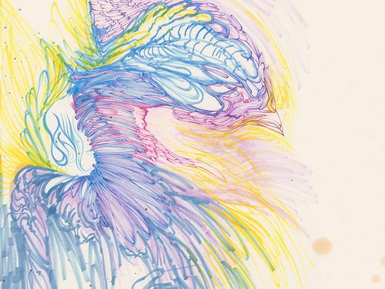 Avian Associate .jpg