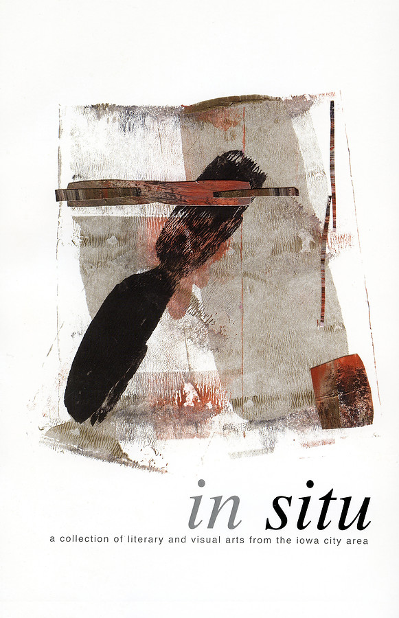 2007 B2 in Situ -  Cover 2007.jpg