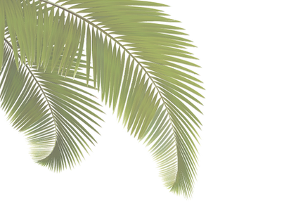 chintara logo (1).png