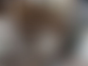 Princess 420 Interior Renovations 2020