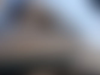 Princess 420 Exterior Renovations 2020