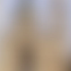 48 שעות של חילוץ עצמי בבודפשט.