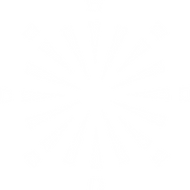 "It Just Happens Here" Graphic Burst