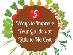 5 Ways To Improve Your Garden At Little To No Cost