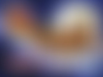 A Christmas Classic with an Adorable Twist—The Night Before Christmas by Rose Collins