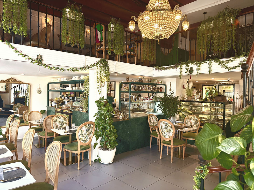 Soirée de musique algérienne en direct