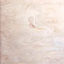 White Pink Champagne