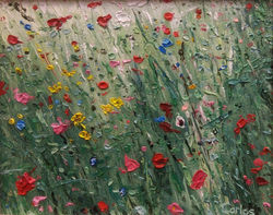 Wild Flowers