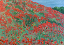 Poppies North Yorkshire 2015