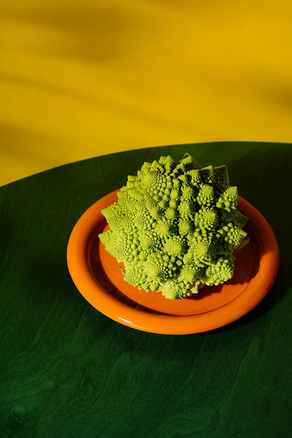 Miniaturbild: Float Plate