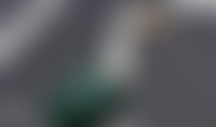 Merlín, el pato viral que conquistó el Mundial 2026