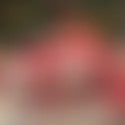 Navidad a crédito: 4 de cada 10 siguen pagando las fiestas