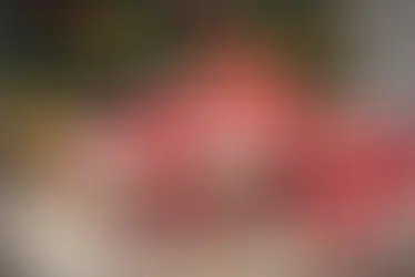 Navidad a crédito: 4 de cada 10 siguen pagando las fiestas