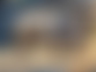 La caza furtiva arrasa con los rinocerontes en Sudáfrica