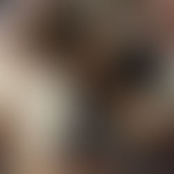 Entre reformas y golpes al narco: Sheinbaum “arrasa”