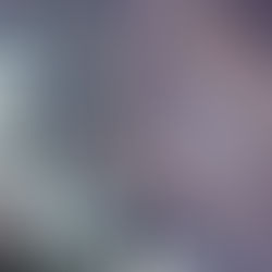 ¿Guerra sin razón? Inteligencia de EU desmiente a Trump