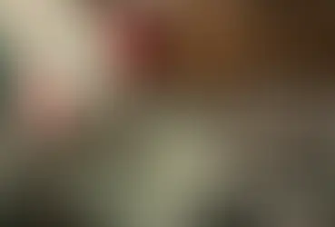 Va reforma electoral sin PT ni Verde