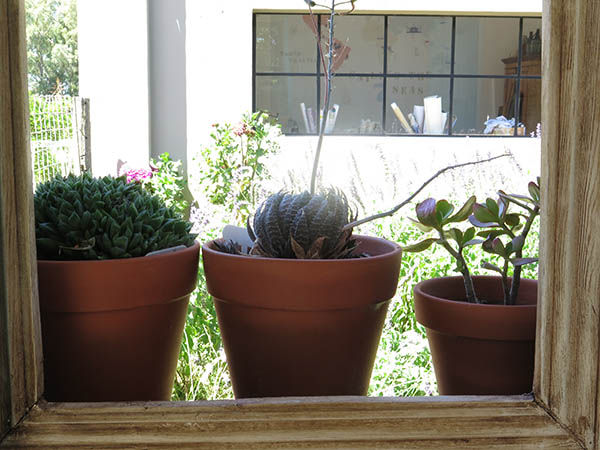 LIV-StepbyStep-Patina10