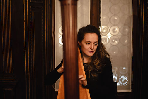 Foto Francesca Miglierina arpa, immagine Francesca Miglierina arpista
