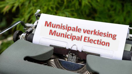 Our view on the local government elections