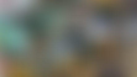 MAFUBE SE “OORBODIGE” BATES IS OPGEVEIL 