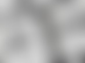 Mafube Mayor’s “Copy & Paste” Report