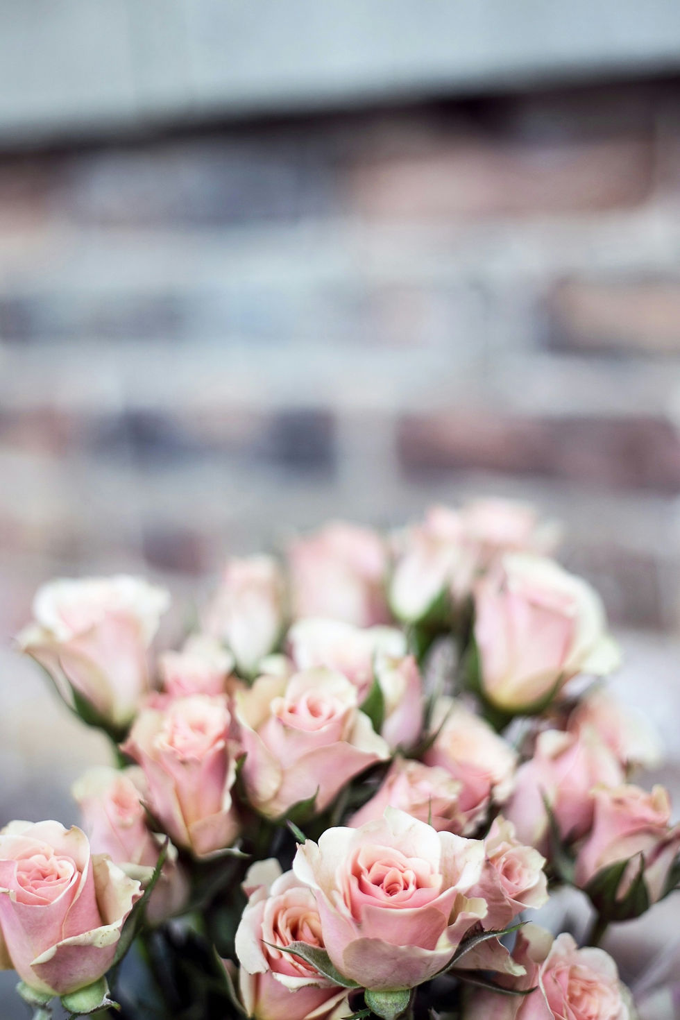 Bunch of Pink Roses creating a safe space for grief support and healing for families navigating the challenges of loss