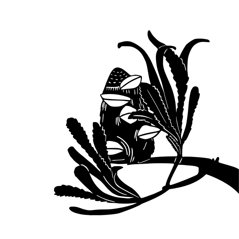 Decorative square black graphic