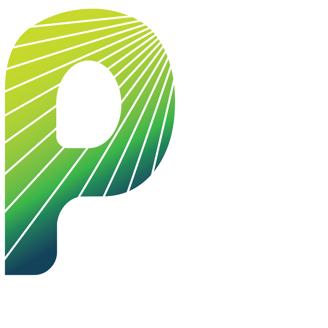 Perfekt logo Powering Digital Transformation