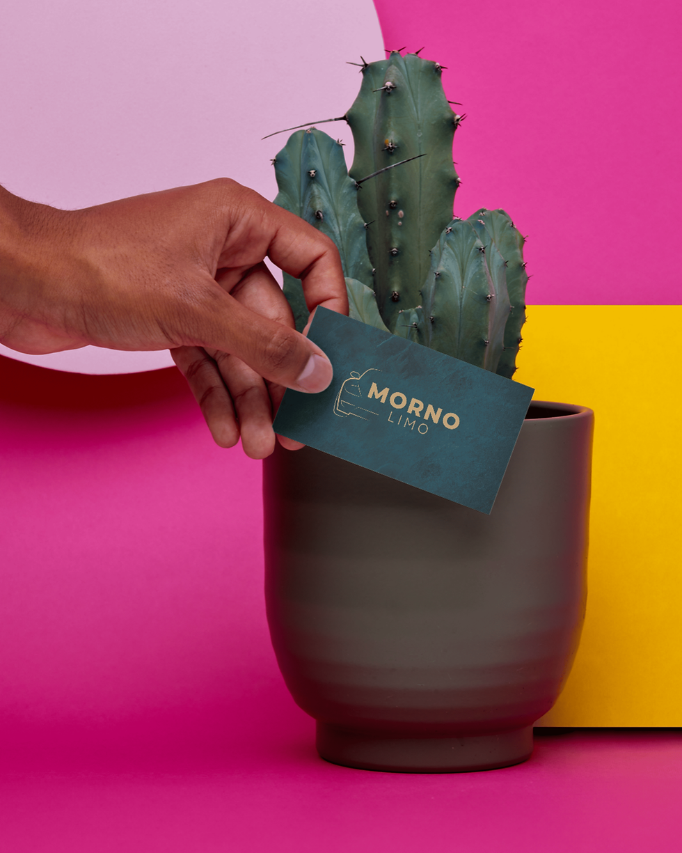 Hand holding a business card with 'MOMO' by a cactus