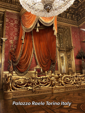 1 Fabulous Day at the Royal Palace in Torino Italy!