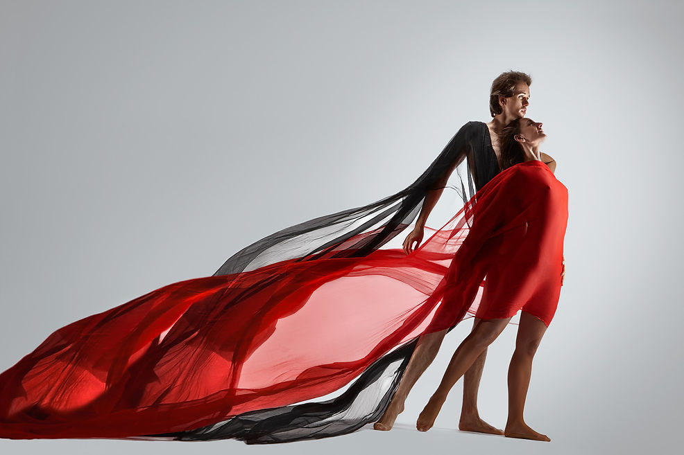 PRO-PHYL_project_silk_Anne-Sophie__Jean-