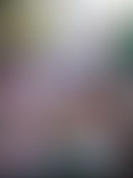 Antisemitismo, fascismo y Hamás