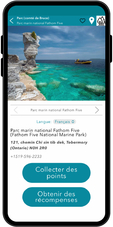 PointsRécompenses Eng-100.jpg