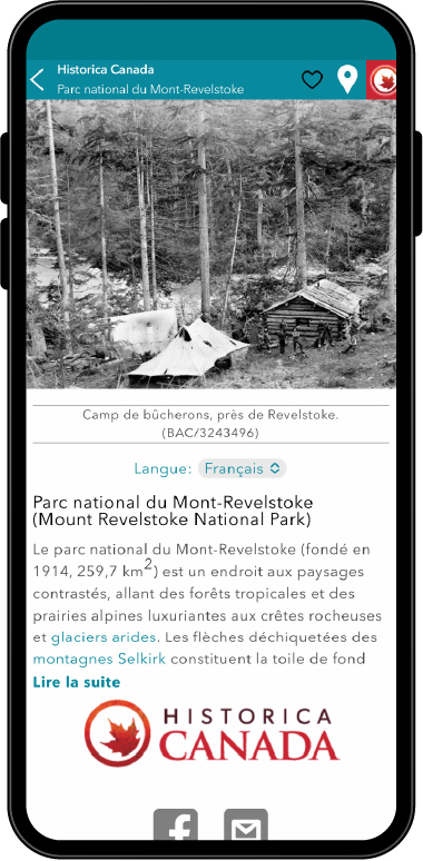 Médias sociaux Eng-100.jpg