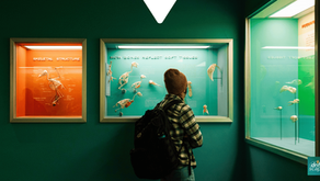 Boy with backpack views colorful museum displays of bird skeletons labeled Skeletal Structure and How Bones Reflect Soft Tissues