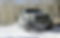 raptor-snow.jpg