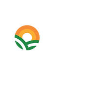 Asset 12iqoniik creative agency_edited.png