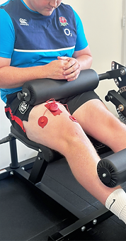 Cheltenham Sports Injury