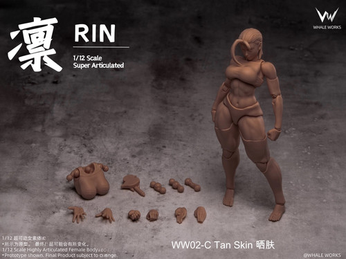 Whale Works 1/12 Female Body - Aria/Rin | 玩具箱Toy Box