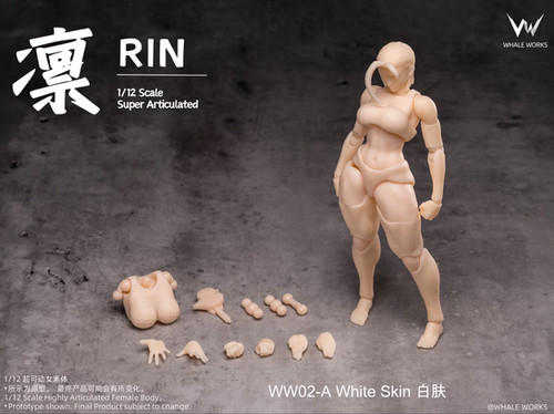 Whale Works 1/12 Female Body - Aria/Rin | 玩具箱Toy Box