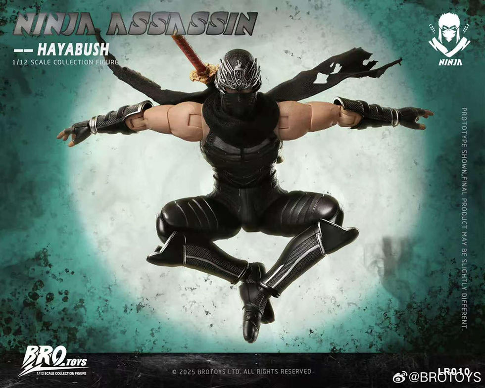 Thumbnail: Brotoys 1/12 Ninja Assassin - Hayabush