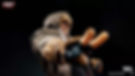 Thumbnail: FistToys 1/12 Boxer FIST-01