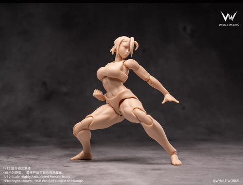 Whale Works 1/12 Female Body - Aria/Rin | 玩具箱Toy Box