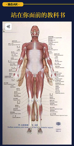 人體解剖彩色圖譜（第3版）（精） | Eastern Bookstore