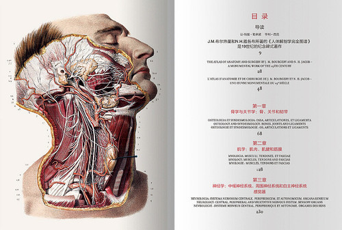 人体解剖图谱Atlas of Human Anatomy and Surgery (Chinese Edition