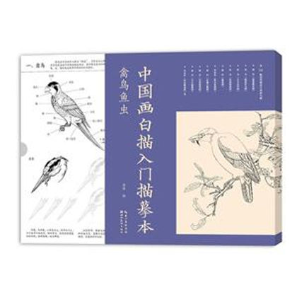 【真作】陳康候 花鳥絵 中国書画　紙本肉筆 中国画白描入门描摹本：禽鸟鱼虫| Eastern Bookstore