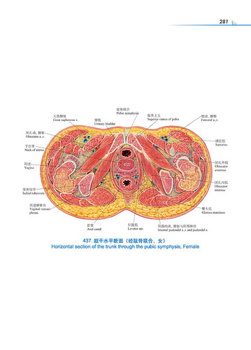 人體解剖彩色圖譜（第3版）（精） | Eastern Bookstore